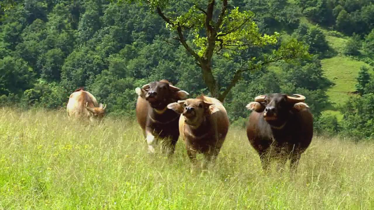 绿色希冀  生生不息03.jpg