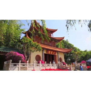 你我共参与 滇池变美了