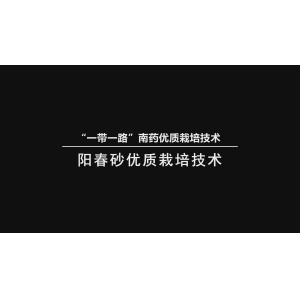 《“一带一路” 优质南药栽培技术阳春砂优质栽培技术》（汉语版）  