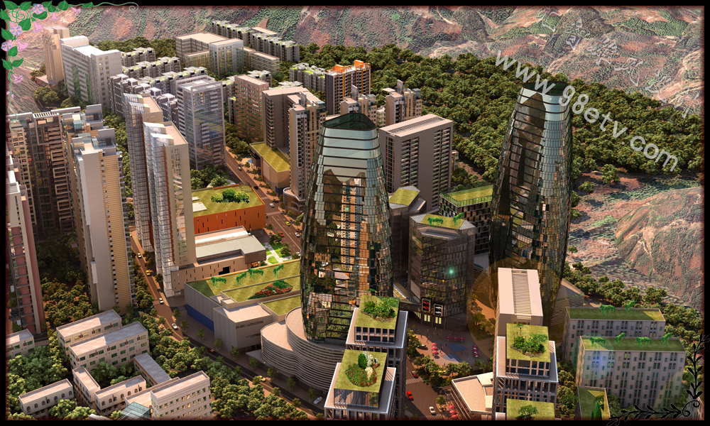 项目全景鸟瞰图(图2)